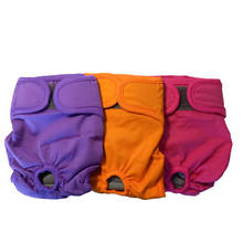 Cargar imagen en el visor de la galería, Pañales reutilizables para perros – Solid Color Collection