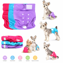 Cargar imagen en el visor de la galería, Pañales reutilizables para perros hembra (celo) | Lavables y ecológicos