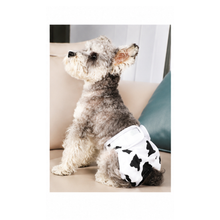 Cargar imagen en el visor de la galería, Pañales reutilizables para perros – Animal Print Collection