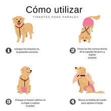 Cargar imagen en el visor de la galería, tirantes para perros