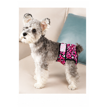 Cargar imagen en el visor de la galería, Pañales reutilizables para perros – Animal Print Collection
